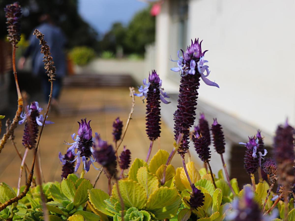 Bellum Hotel Mount Gambier Exterior foto