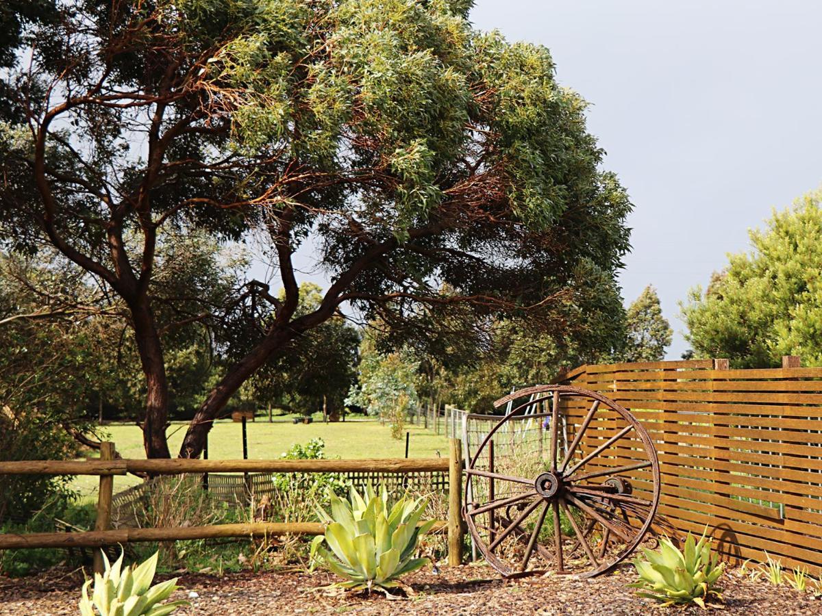 Bellum Hotel Mount Gambier Exterior foto